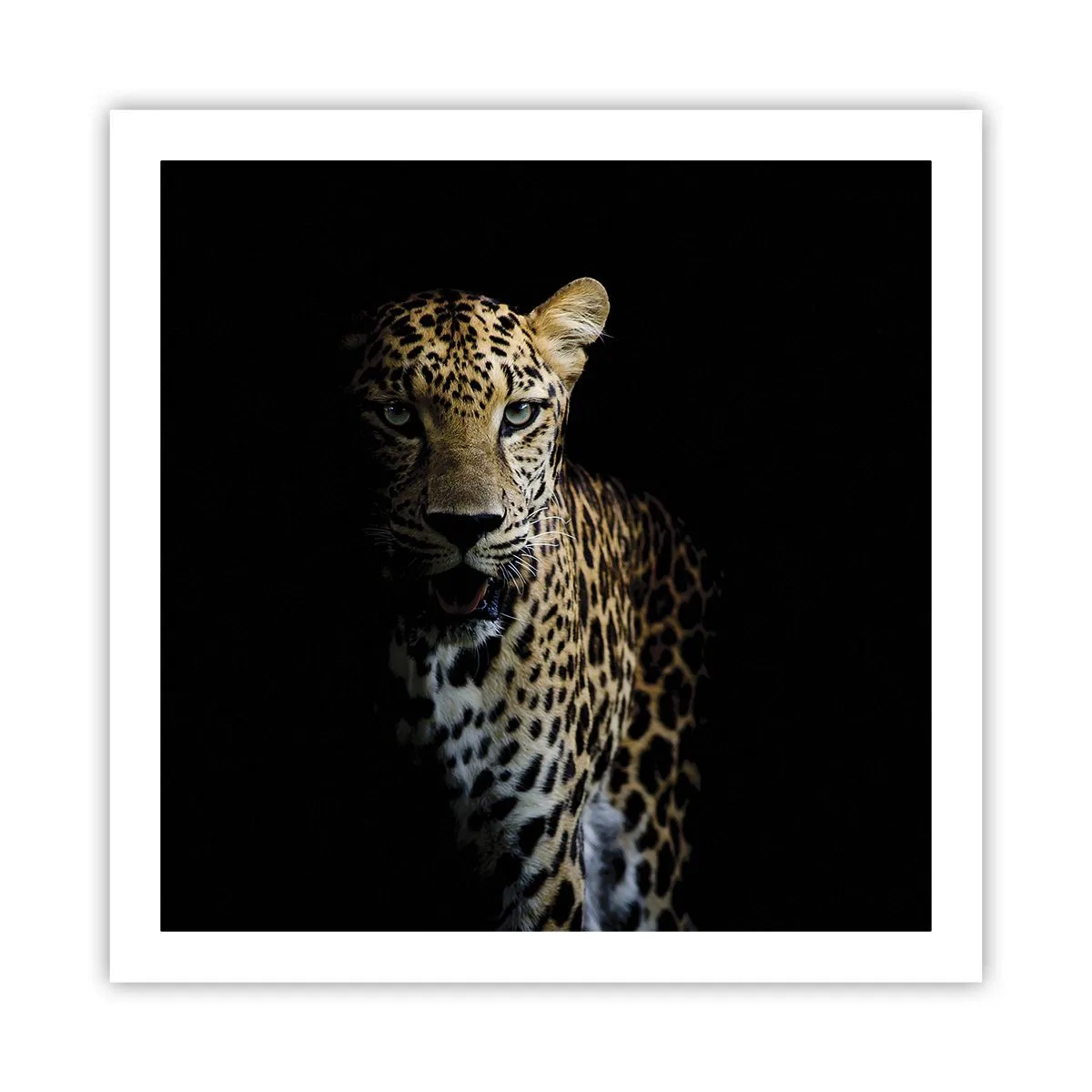 Affiche - Poster - Beauté sombre - 60x60 cm