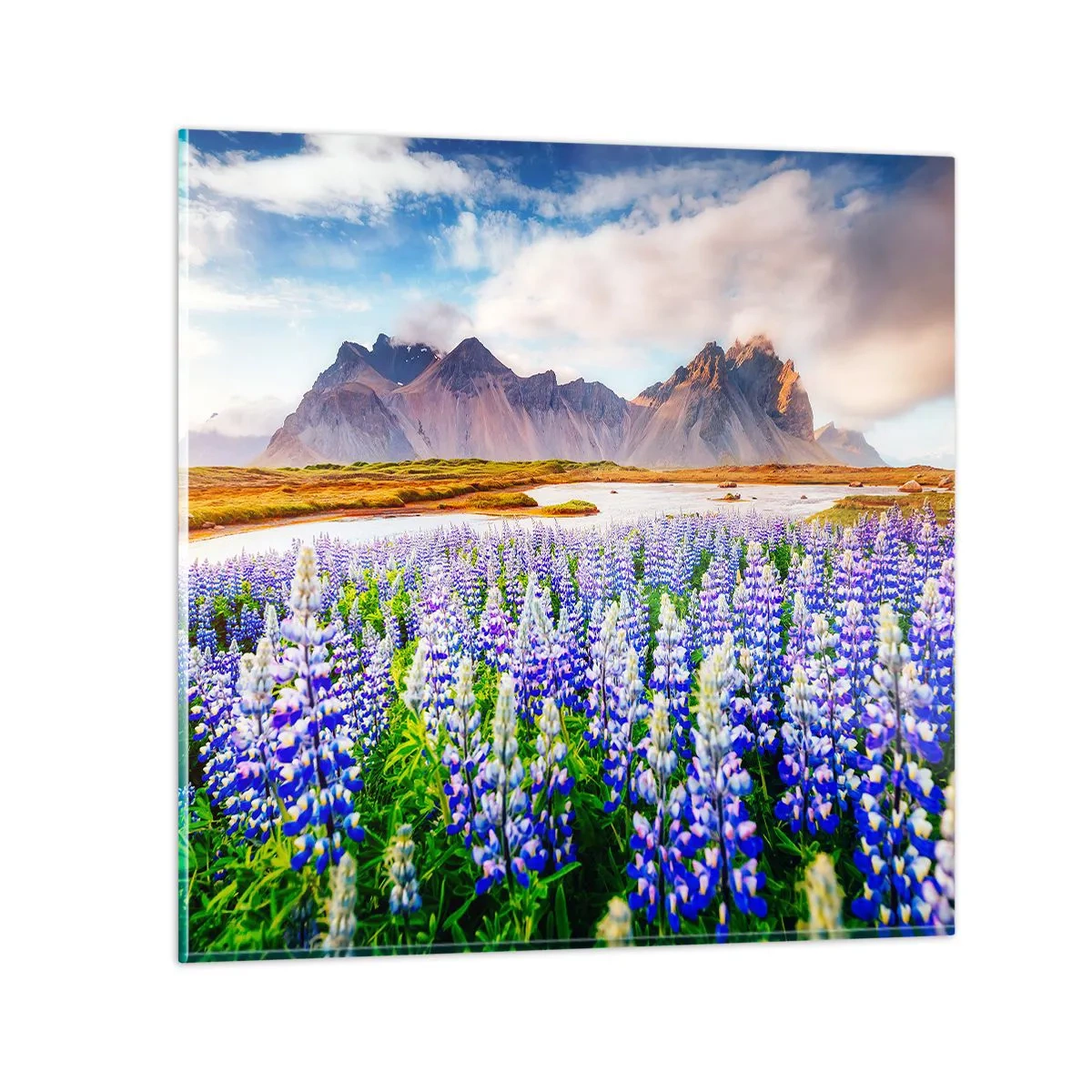 Impression sur verre - Image sur verre - La force et l'austérité côtoient la douceur - 60x60 cm