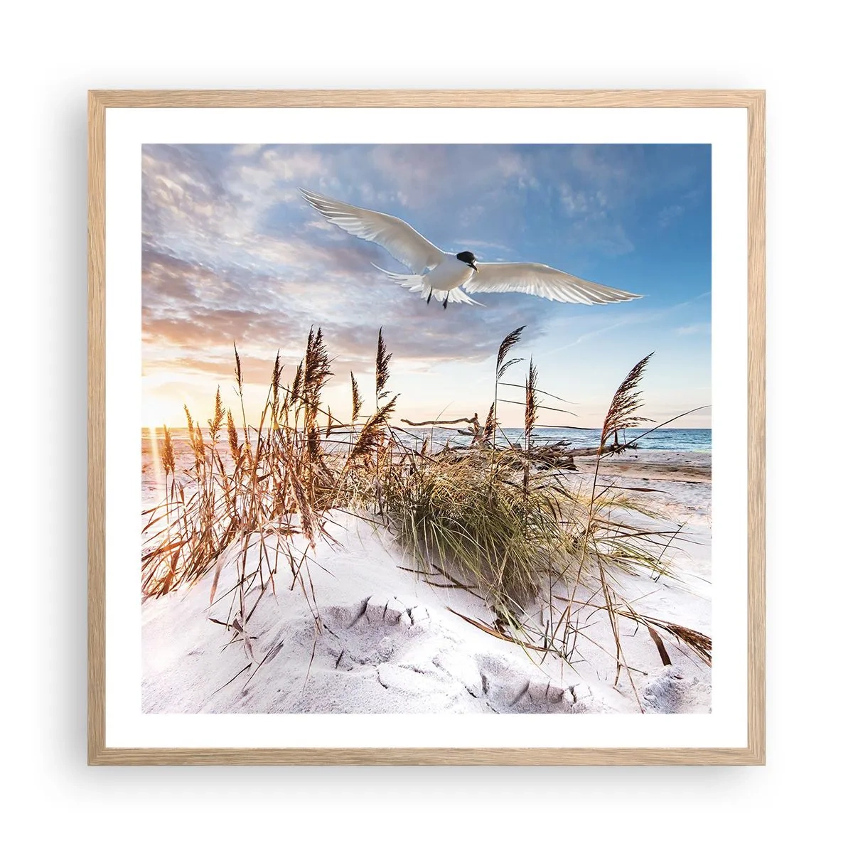Affiche dans un chêne clair - Poster - Vent de mer - 60x60 cm