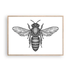 Affiche dans un chêne clair - Poster - Portrait d'insecte - 100x70 cm