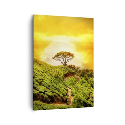 Impression sur toile - Image sur toile - Collines verdoyantes de plantations de thé au coucher du soleil - 50x70cm - Un chemin sinueux, une pente verte - Décoration murale moderne pour le salon et la chambre ARTTOR