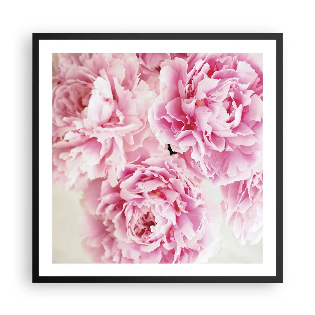 Affiche dans un cadre noir - Poster - En glamour rose - 60x60 cm