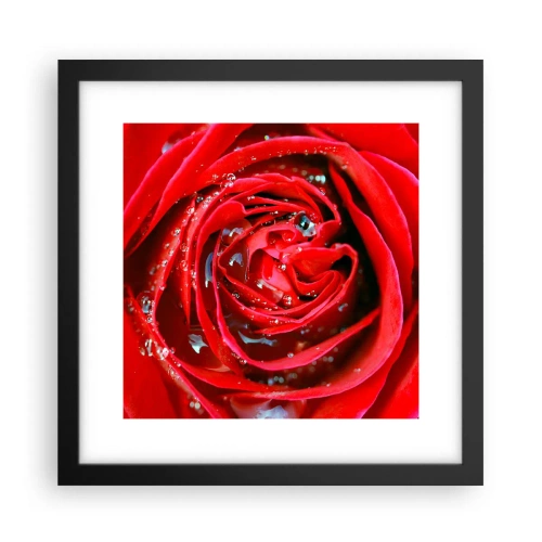Affiche dans un cadre noir - Poster - Dans les gouttes de rosée - 30x30 cm