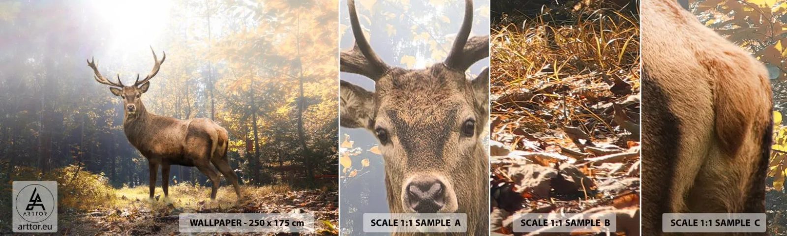 Échantillon de Papier Peint Autocollant Deluxe Sticker - Toute sa majesté - Paysage, Cerf, Forêt - 100x30 cm