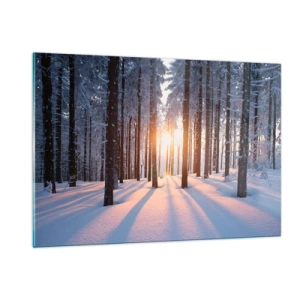 Impression sur verre - Image sur verre - Forêt d'hiver avec les rayons du soleil qui brillent à travers les arbres - 120x80cm - Clairement en noir et blanc - Décoration murale moderne pour le salon et la chambre ARTTOR