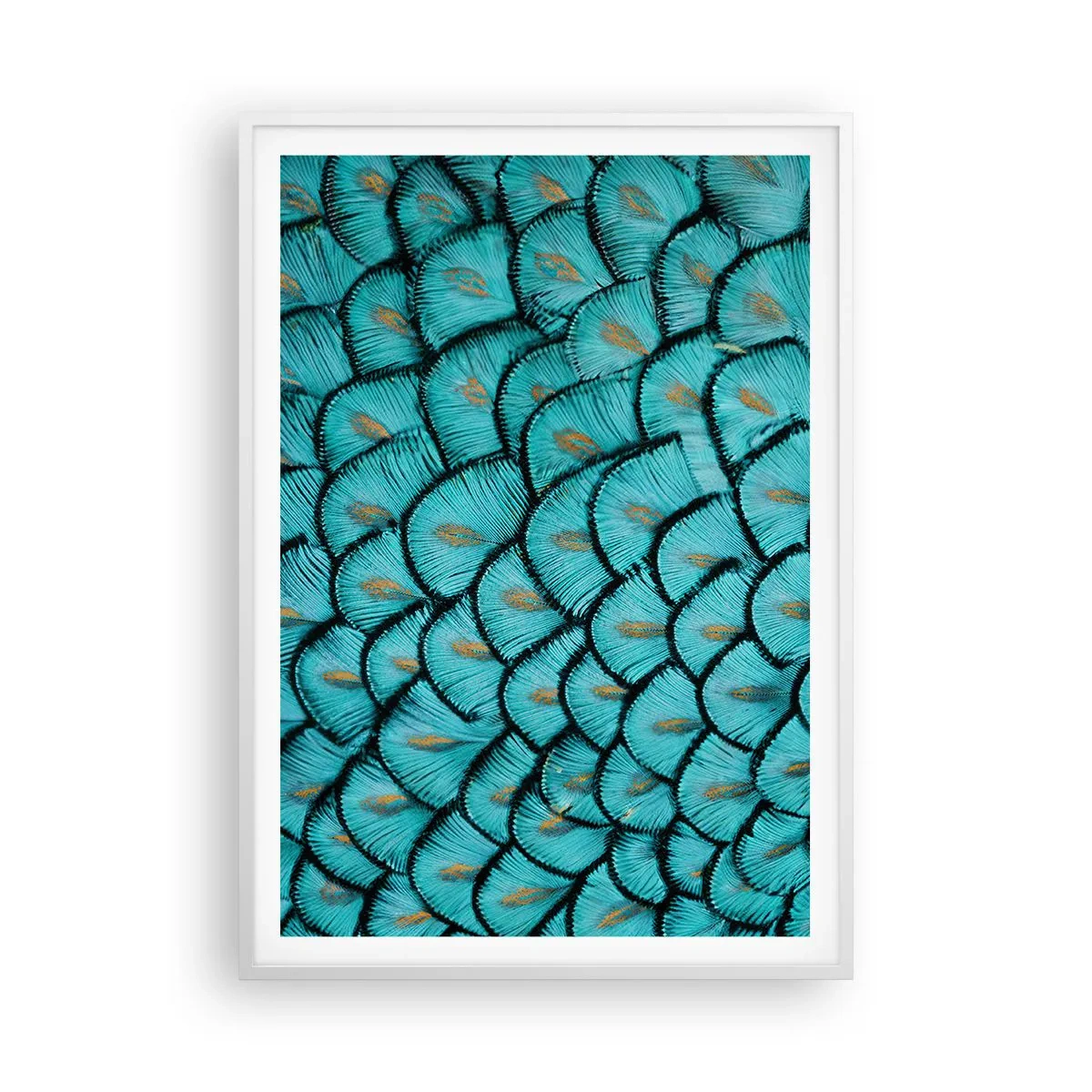 Affiche dans un cadre blanc - Poster - Le grand gala des plumes - 70x100 cm