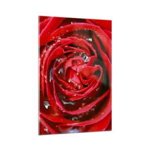 Impression sur verre - Image sur verre - Gros plan d'une rose rouge avec des gouttes d'eau sur les pétales - 80x120cm - Dans les gouttes de rosée - Décoration murale moderne pour le salon et la chambre ARTTOR