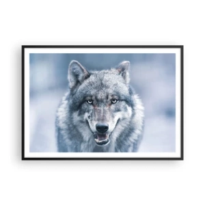 Affiche dans un cadre noir - Poster - Un loup au regard intense dans un paysage hivernal - 100x70cm - Relèverez-vous le défi ? - Décoration murale moderne pour le salon et la chambre ARTTOR