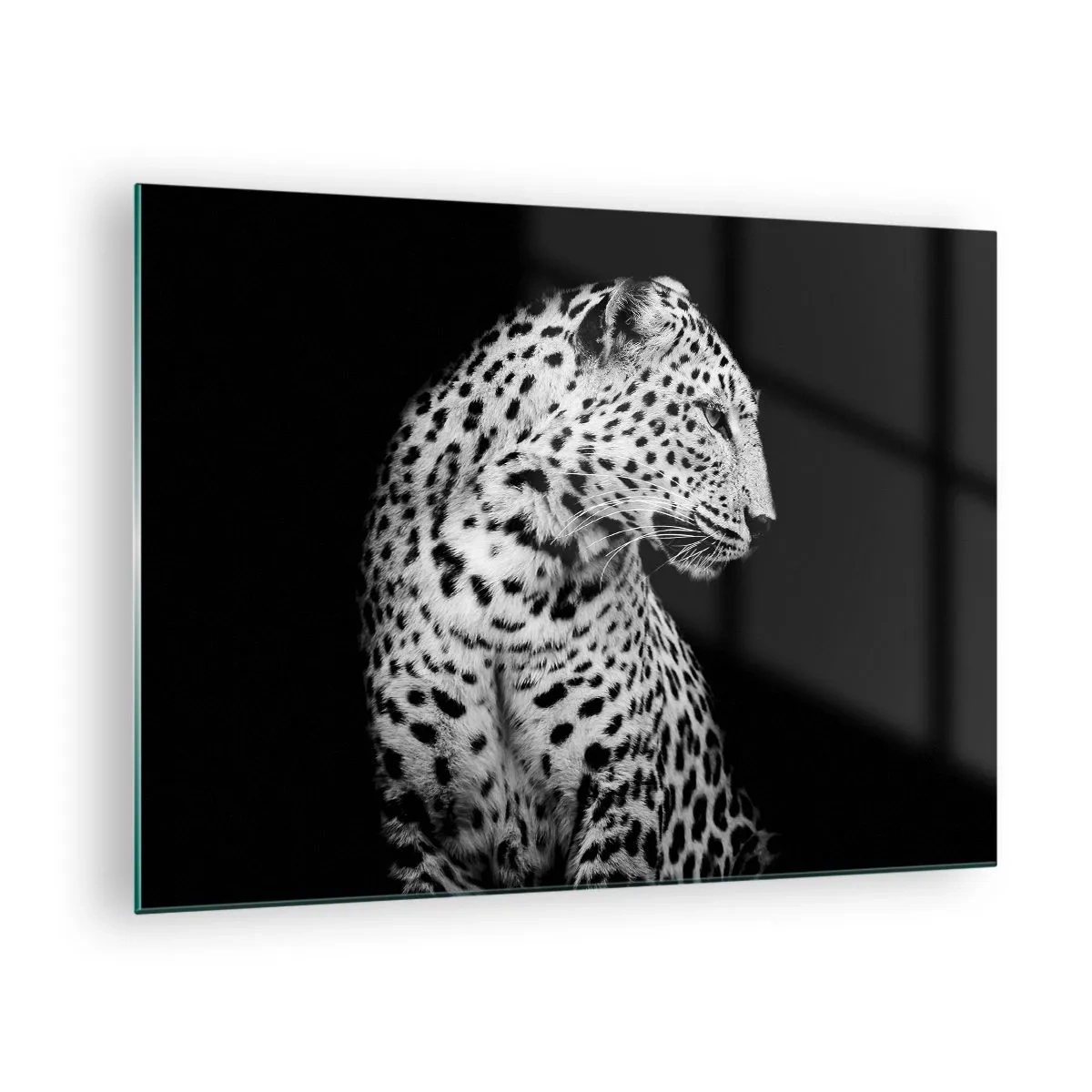 Impression sur verre - Image sur verre - Un léopard dans une lumière noire et blanche contre une fenêtre - 70x50cm - Presque un profil parfait! - Décoration murale moderne pour le salon et la chambre ARTTOR