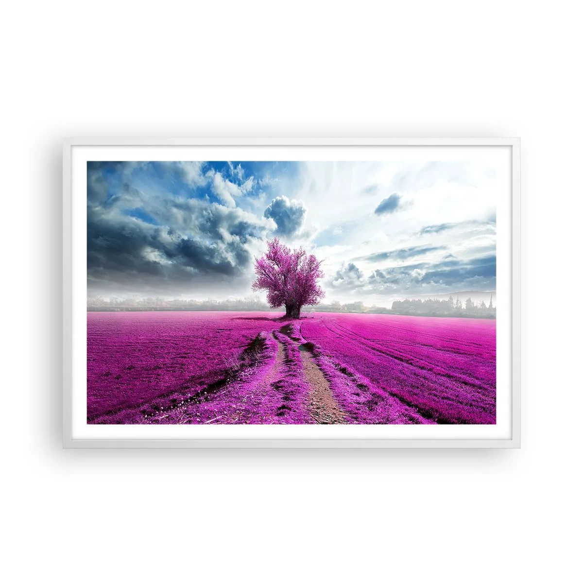 Affiche dans un cadre blanc - Poster - Lande - nature sauvage - 91x61 cm