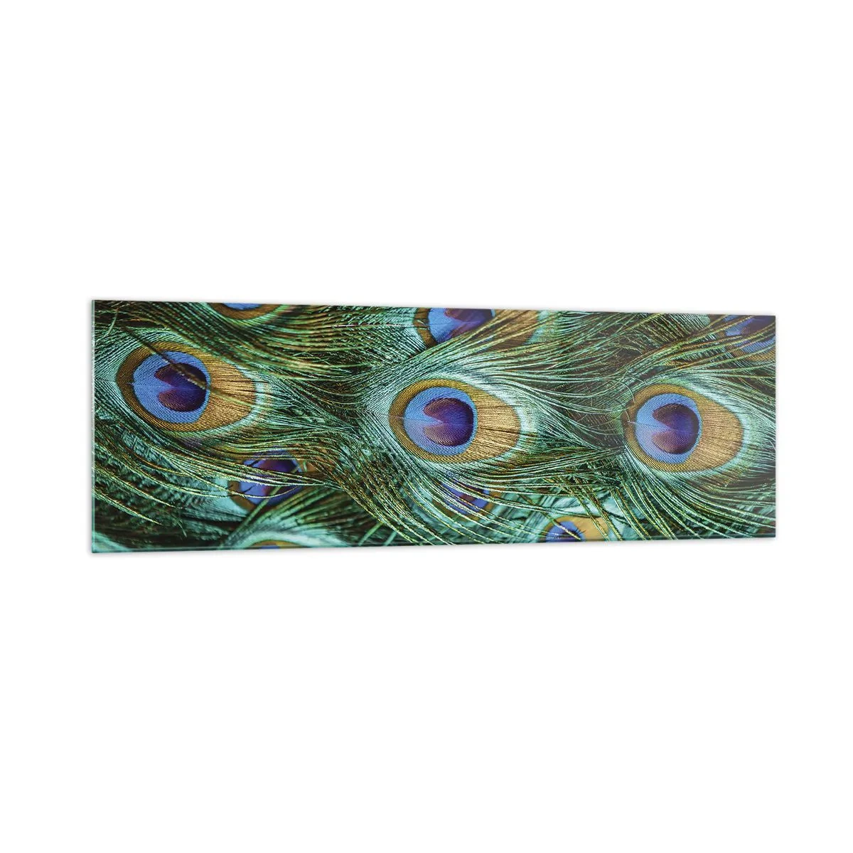 Impression sur verre - Image sur verre - Détails des plumes de paon aux couleurs riches - 160x50cm - Un regard de paon - Décoration murale moderne pour le salon et la chambre ARTTOR