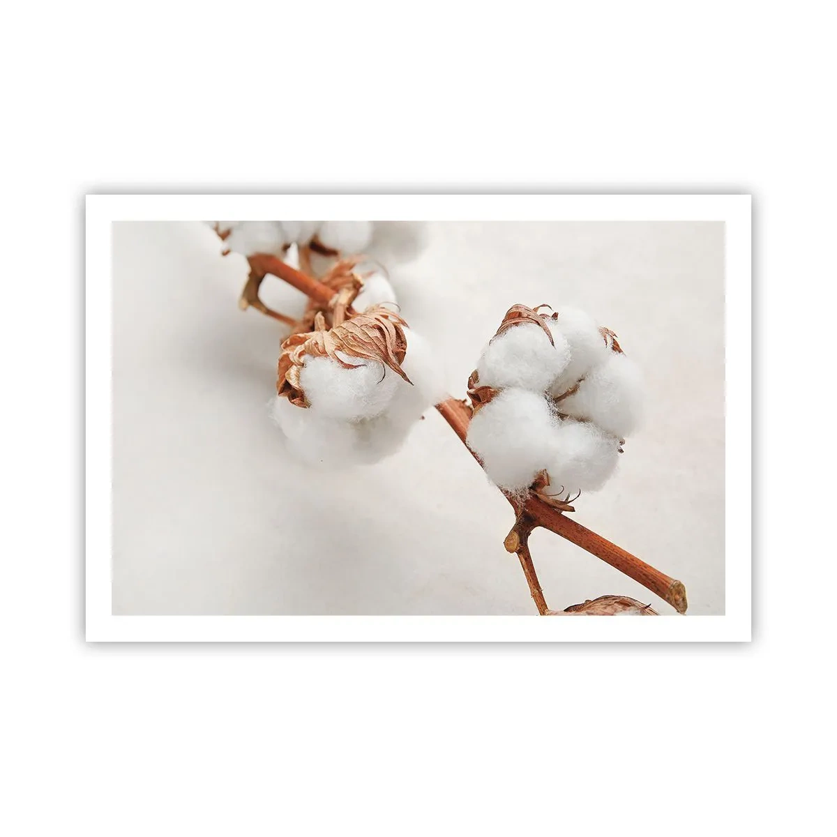 Affiche - Poster - Seulement caliner - 91x61 cm