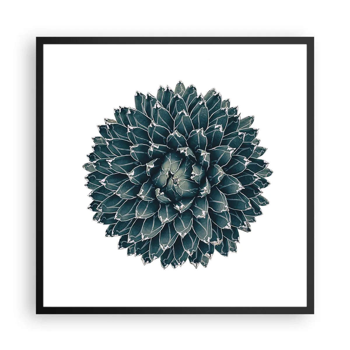 Affiche dans un cadre noir - Poster - Étoile du désert - 60x60 cm