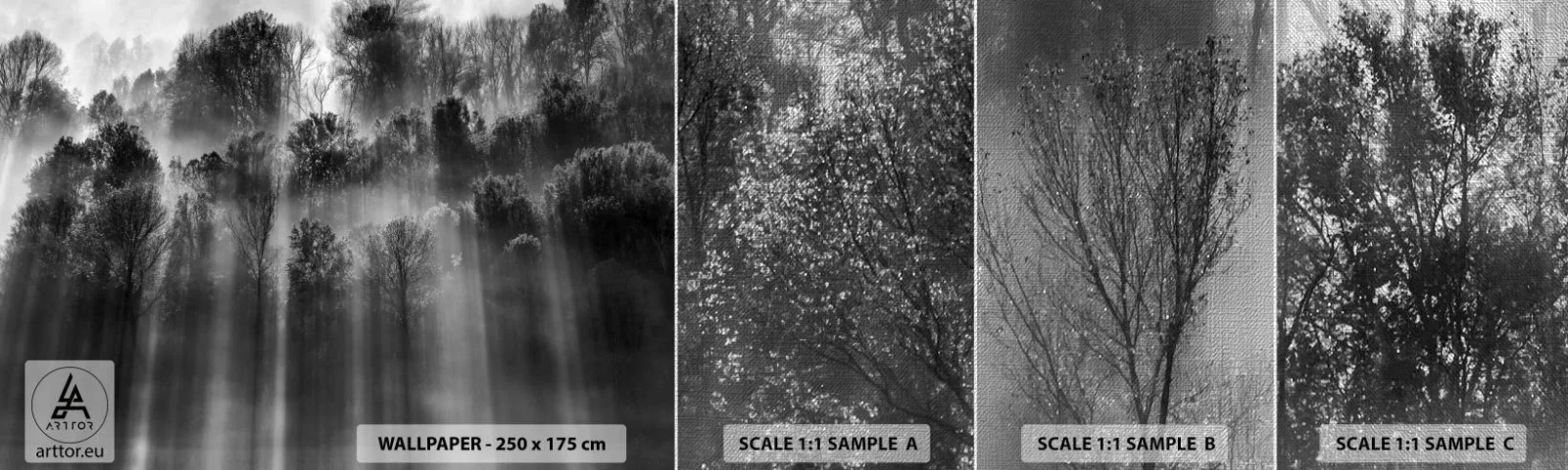 Échantillon de Papier Peint Premium Canvas - Dans les flots de lumière - Paysage, Forêt, Noir et blanc - 100x30 cm