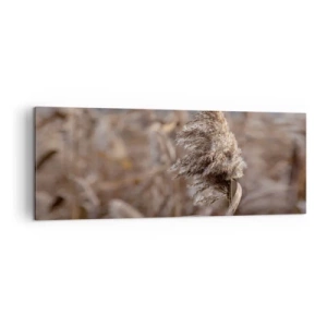Impression sur toile - Image sur toile - Graminées délicates dans des tons beiges sur fond de nature - 140x50cm - Il est temps de s'envoler avec le vent - Décoration murale moderne pour le salon et la chambre ARTTOR
