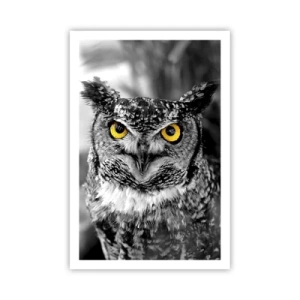 Affiche - Poster - Rien ne se cachera - 61x91 cm