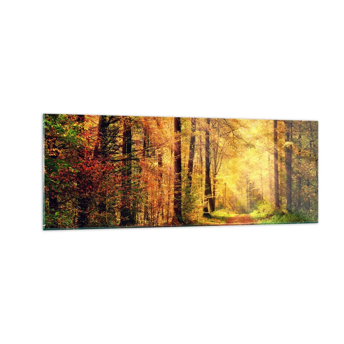Impression sur verre - Image sur verre - Un chemin forestier entouré d'arbres dorés et verts - 140x50cm - Silence d'or en forêt - Décoration murale moderne pour le salon et la chambre ARTTOR