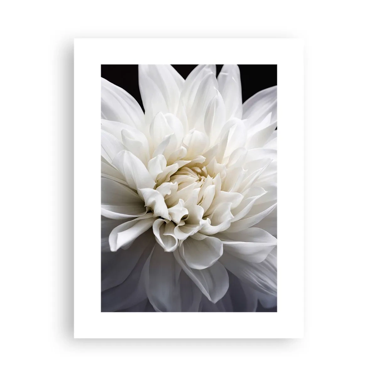 Affiche - Poster - Le matin de la jeune mariéé - 30x40 cm