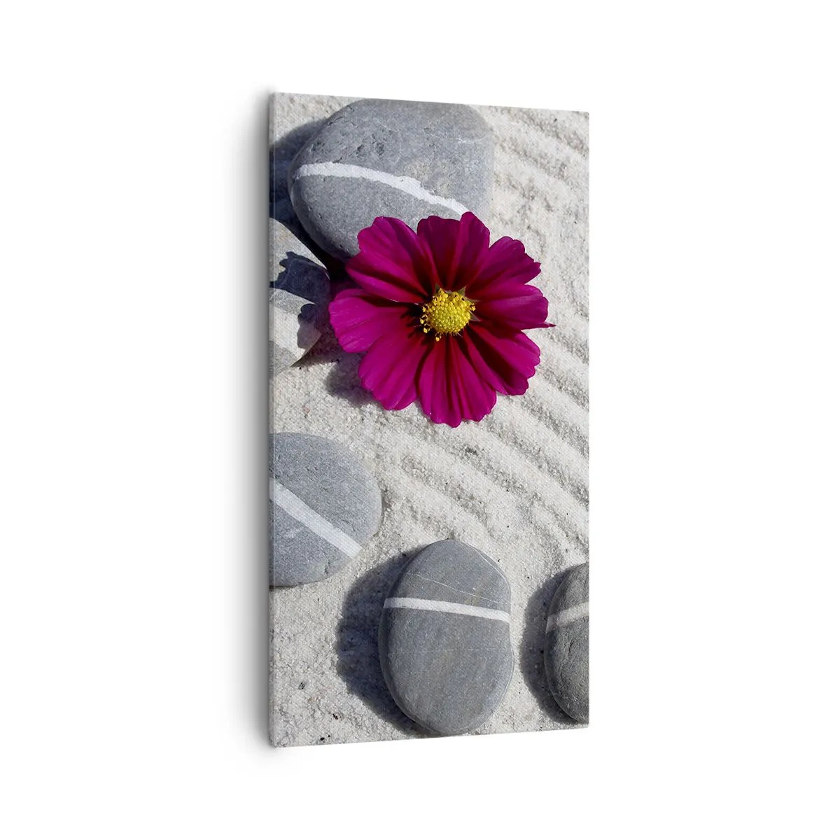 Impression sur toile - Image sur toile - Énergie et paix du cercle magique de la nature - 55x100 cm