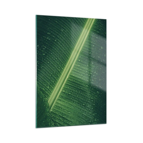 Impression sur verre - Image sur verre - Gros plan d'une feuille verte avec des gouttes d'eau - 50x70cm - Structure de vert - Décoration murale moderne pour le salon et la chambre ARTTOR