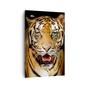 Impression sur toile - Image sur toile - Un tigre avec la gueule ouverte sur un fond noir - 80x120cm - Le coeur sauvageon - Décoration murale moderne pour le salon et la chambre ARTTOR