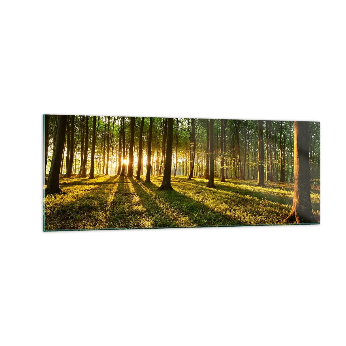 Impression sur verre - Image sur verre - Le soleil couchant dans la forêt de feuillus - 140x50cm - Toutes les photographies de printemps - Décoration murale moderne pour le salon et la chambre ARTTOR