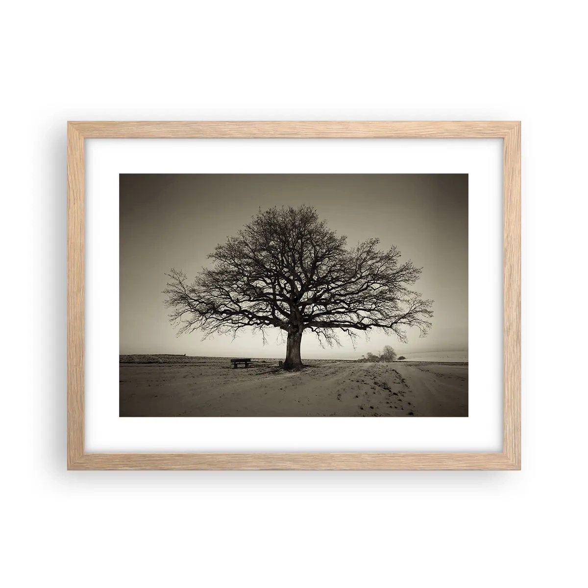 Affiche dans un chêne clair - Poster - D'ici à l'éternité - 40x30 cm