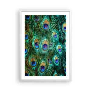 Affiche dans un cadre blanc - Poster - Un regard de paon - 50x70 cm