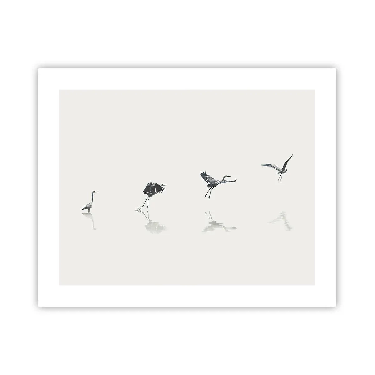 Affiche - Poster - Quatre étapes simples - 50x40 cm