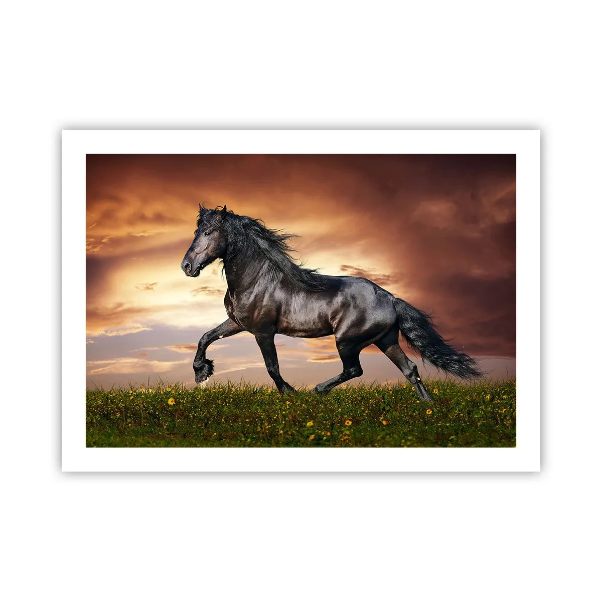 Affiche - Poster - Livres noirs - 70x50 cm