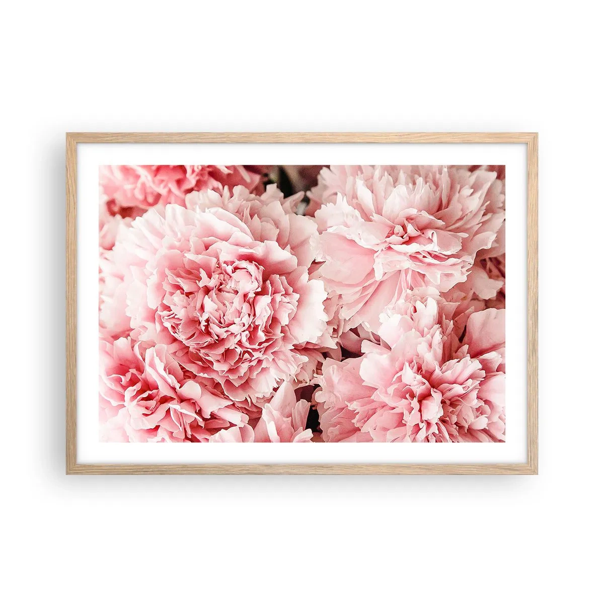 Affiche dans un chêne clair - Poster - Rêve rose - 70x50 cm