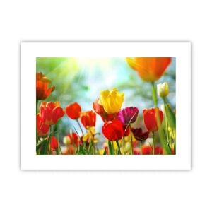 Affiche - Poster - Toutes les couleurs du soleil - 40x30 cm