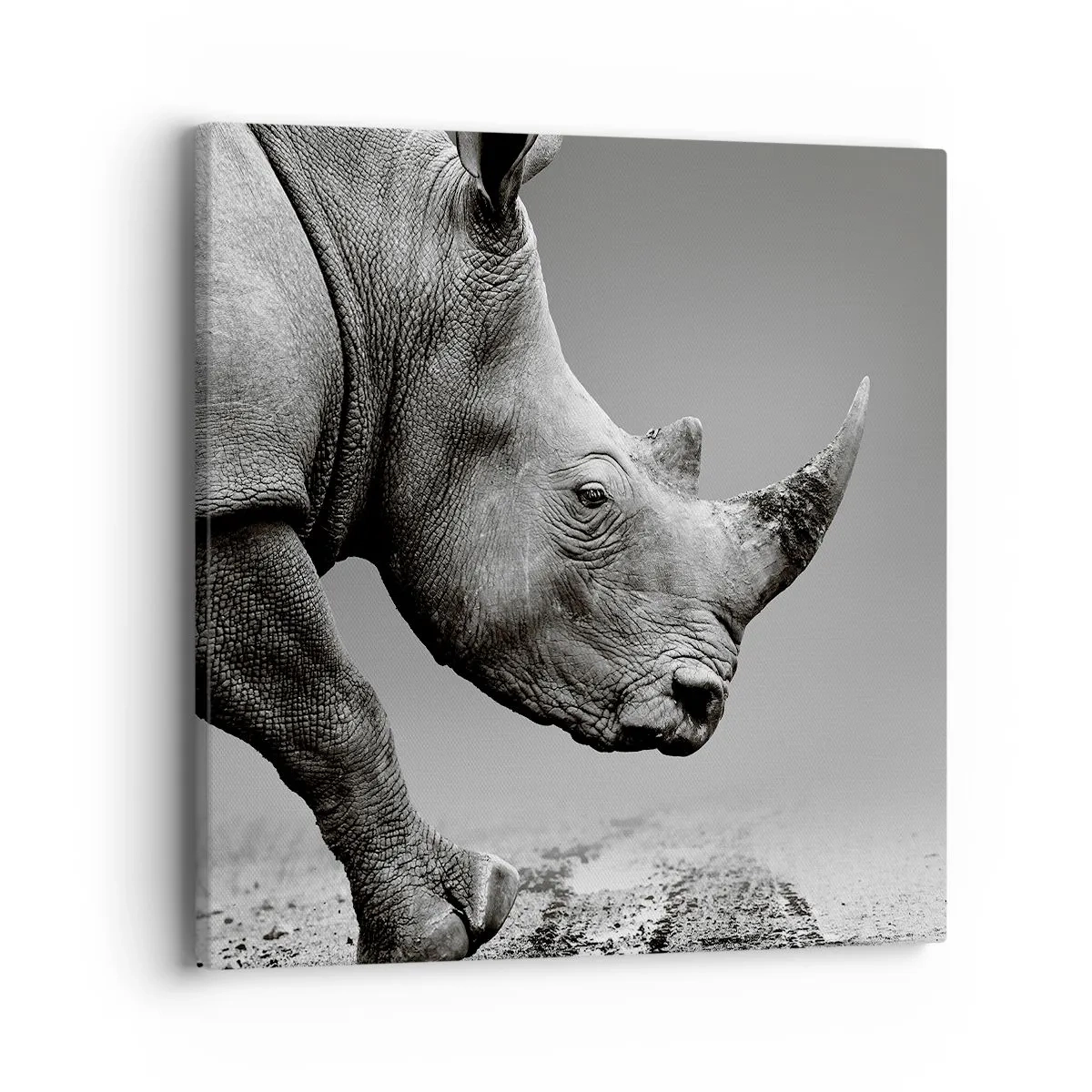 Impression sur toile - Image sur toile - Force inarrêtable - 40x40 cm