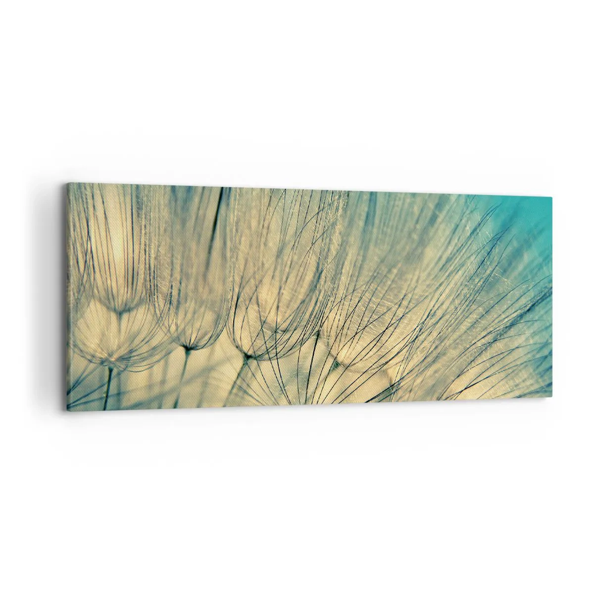 Impression sur toile - Image sur toile - En attente du vent - 100x40 cm