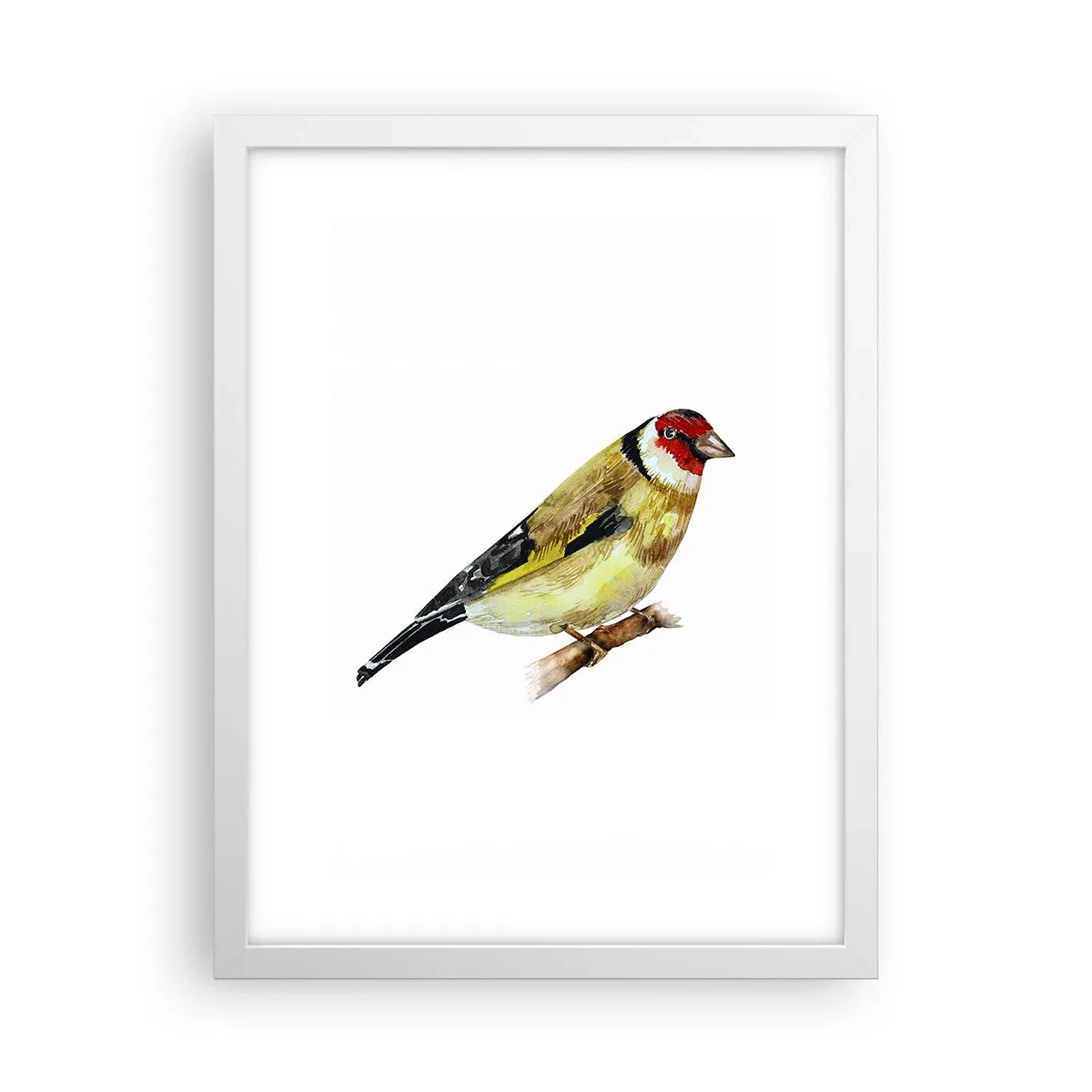 Affiche dans un cadre blanc - Poster - Portrait d'oiseau - 30x40 cm