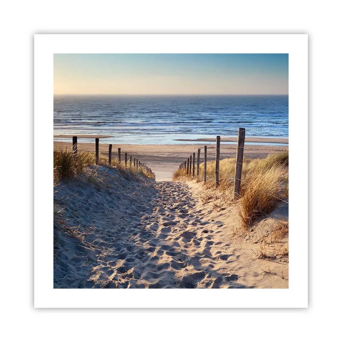 Affiche - Poster - Le bruit de la mer, le chant des oiseaux, une plage sauvage parmi les herbes… - 50x50 cm