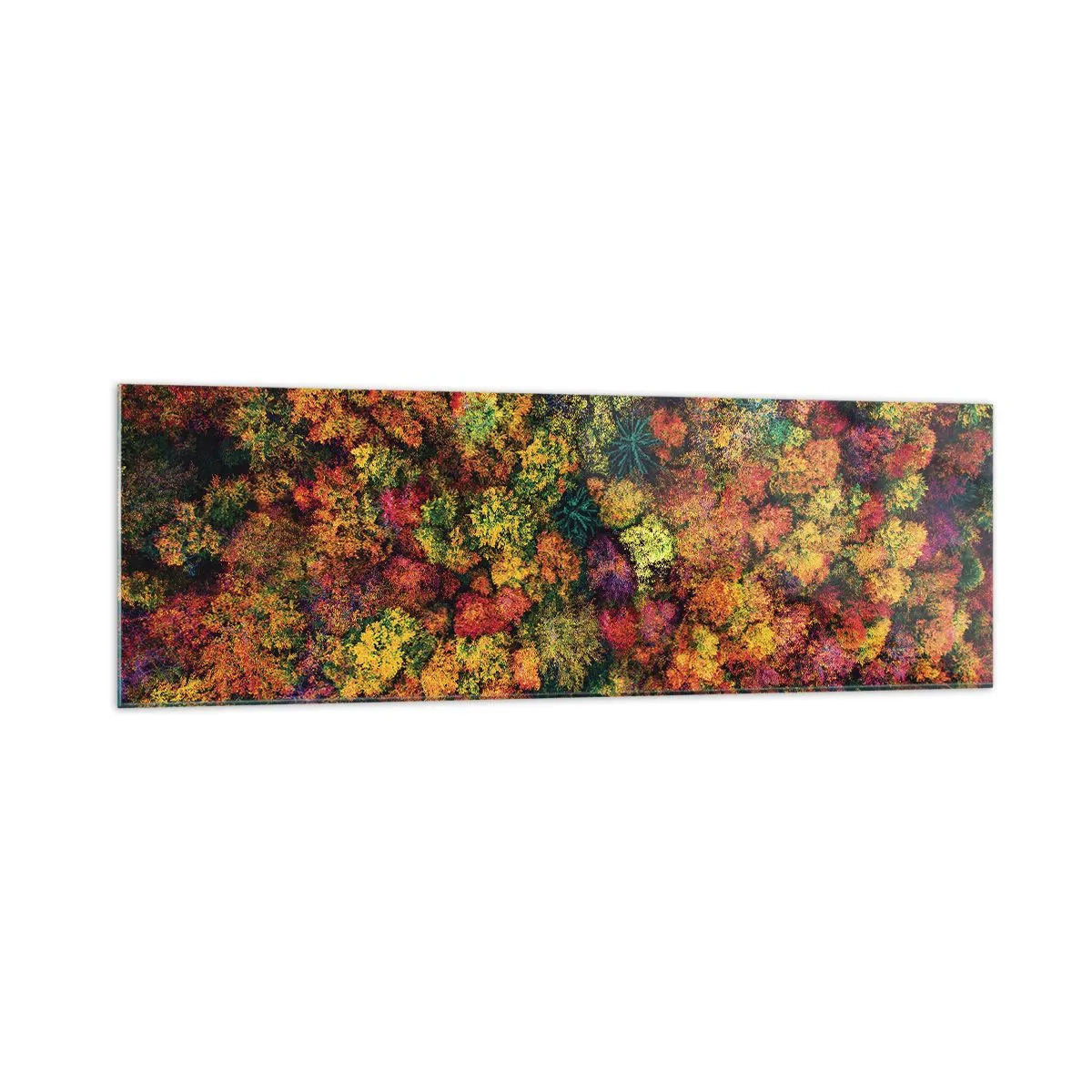 Impression sur verre - Image sur verre - Couronnes d'arbres colorées dans la palette d'automne - 160x50cm - Bouquet d'arbres automnal - Décoration murale moderne pour le salon et la chambre ARTTOR