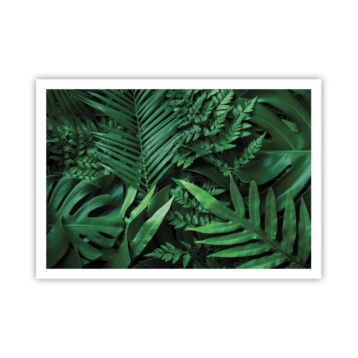 Affiche - Poster - Feuilles tropicales vertes dans une composition dense et naturelle - 100x70cm - Emmitouflé de verdure - Décoration murale moderne pour le salon et la chambre ARTTOR
