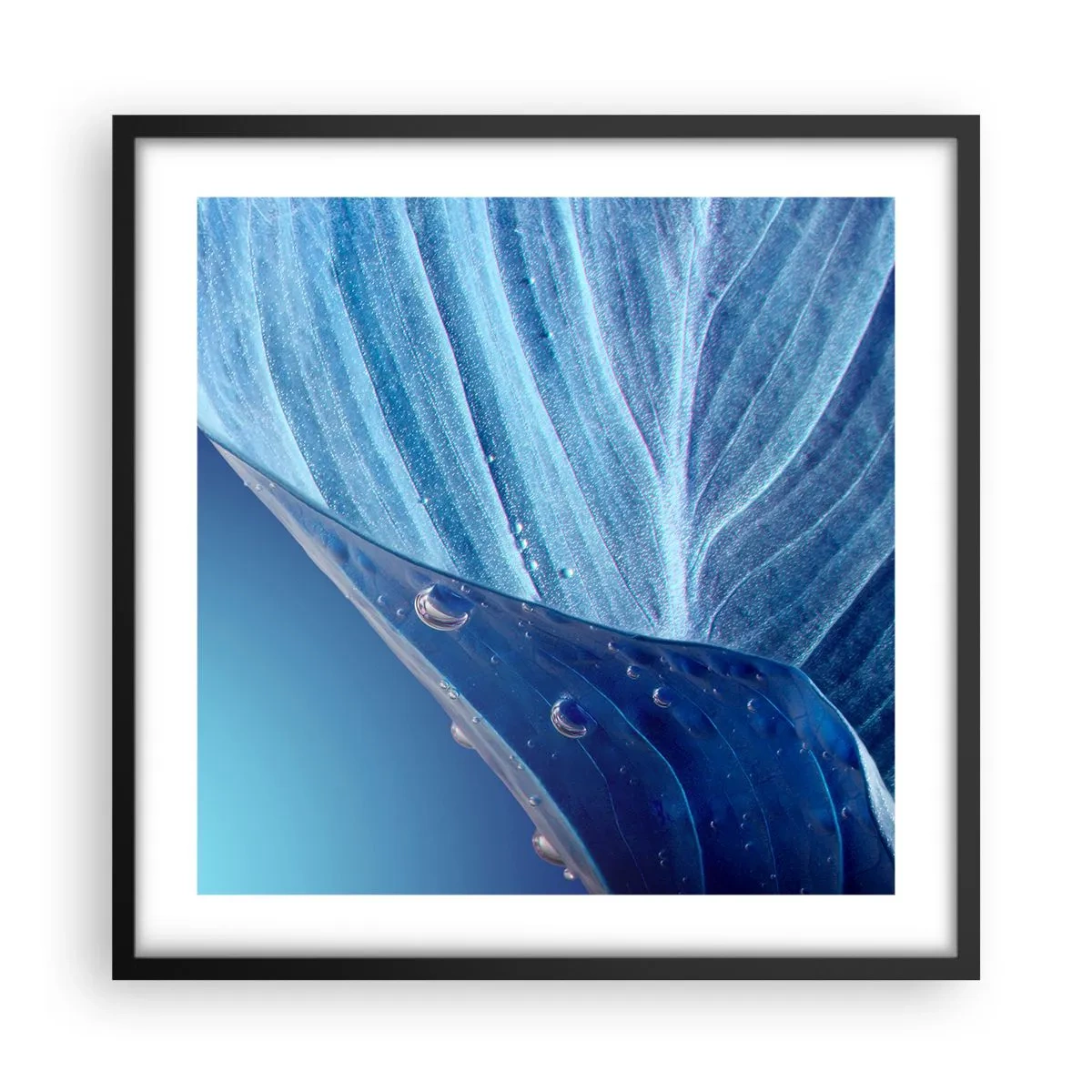 Affiche dans un cadre noir - Poster - Gouttes cachées du bleu - 50x50 cm