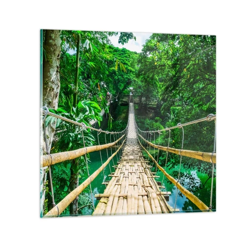 Impression sur verre - Image sur verre - Pont de singe en pleine nature - 30x30 cm