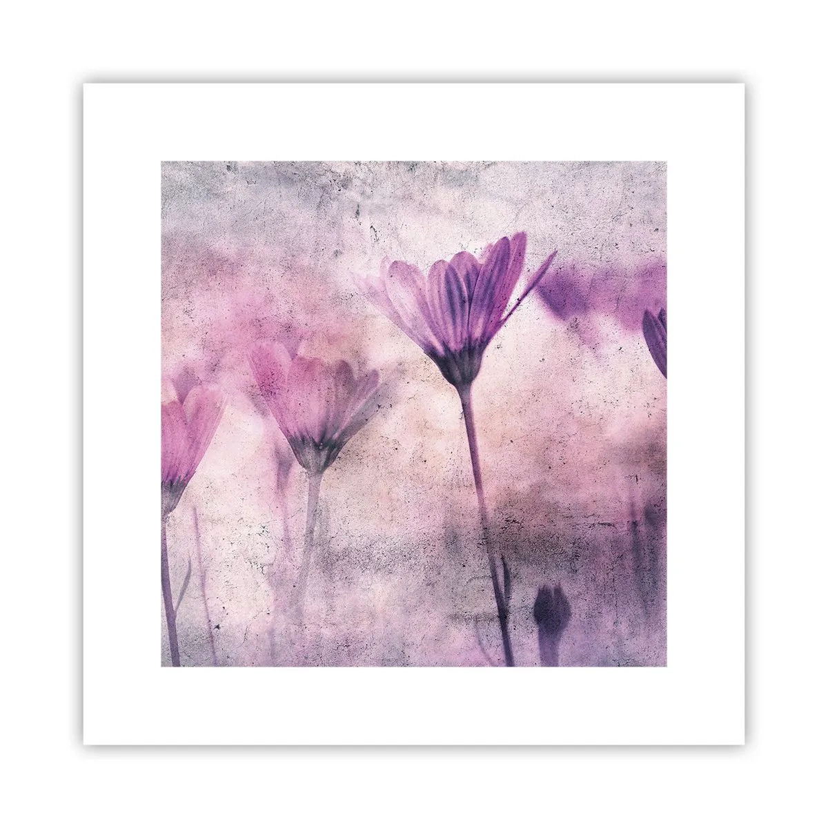 Affiche - Poster - Rêve de fleurs - 30x30 cm