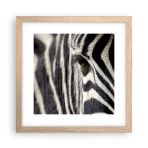 Affiche dans un chêne clair - Poster - Portrait en rayure - 30x30 cm