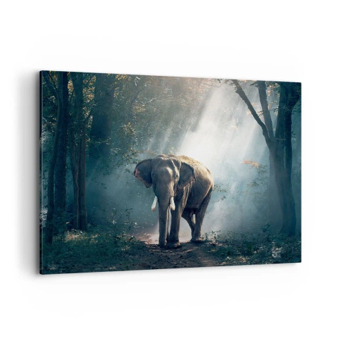Impression sur toile - Image sur toile - Éléphant dans la lumière de la forêt - 100x70cm - Une balade tranquille - Décoration murale moderne pour le salon et la chambre ARTTOR