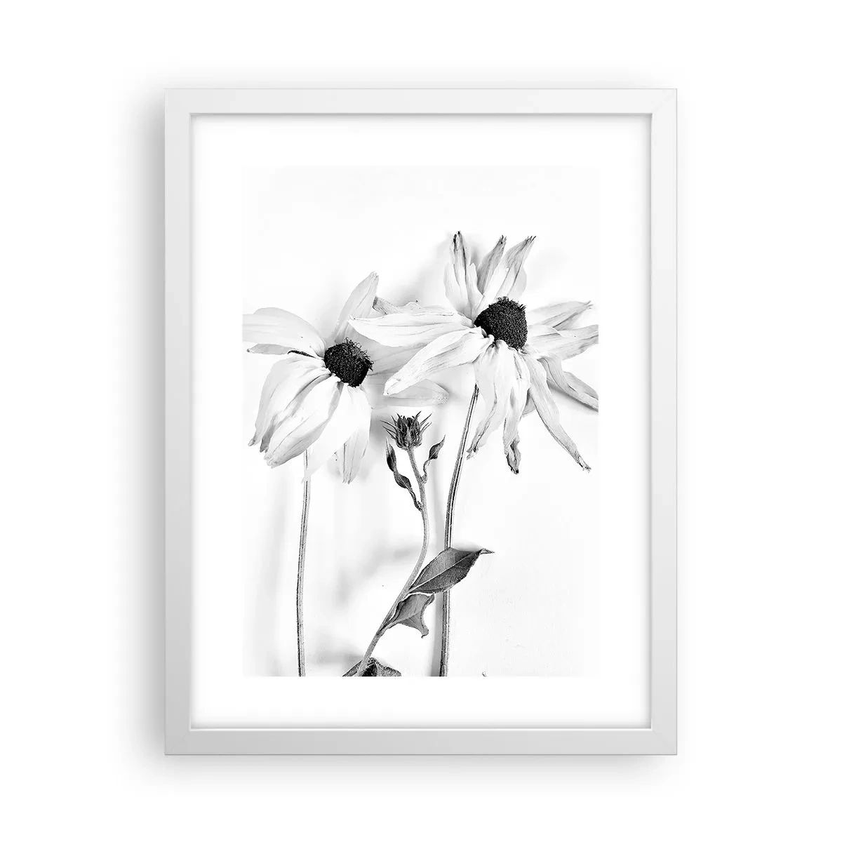 Affiche dans un cadre blanc - Poster - Personne ne souhaite être seul - 30x40 cm