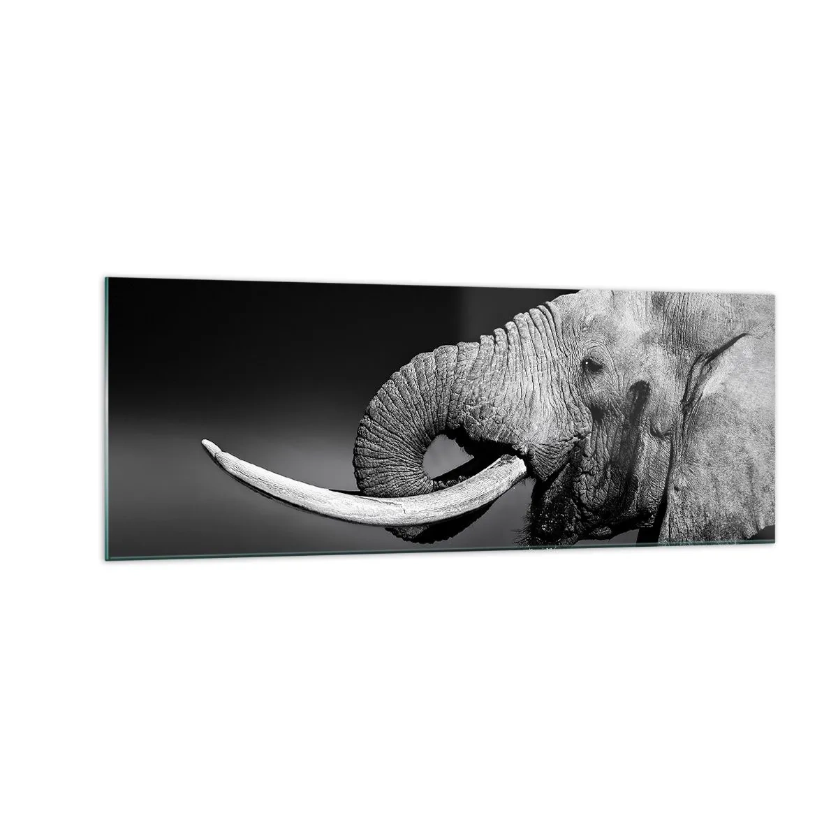 Impression sur verre - Image sur verre - Portrait noir et blanc d'un éléphant de profil - 140x50cm - Oui, c'est bon maintenant - Décoration murale moderne pour le salon et la chambre ARTTOR