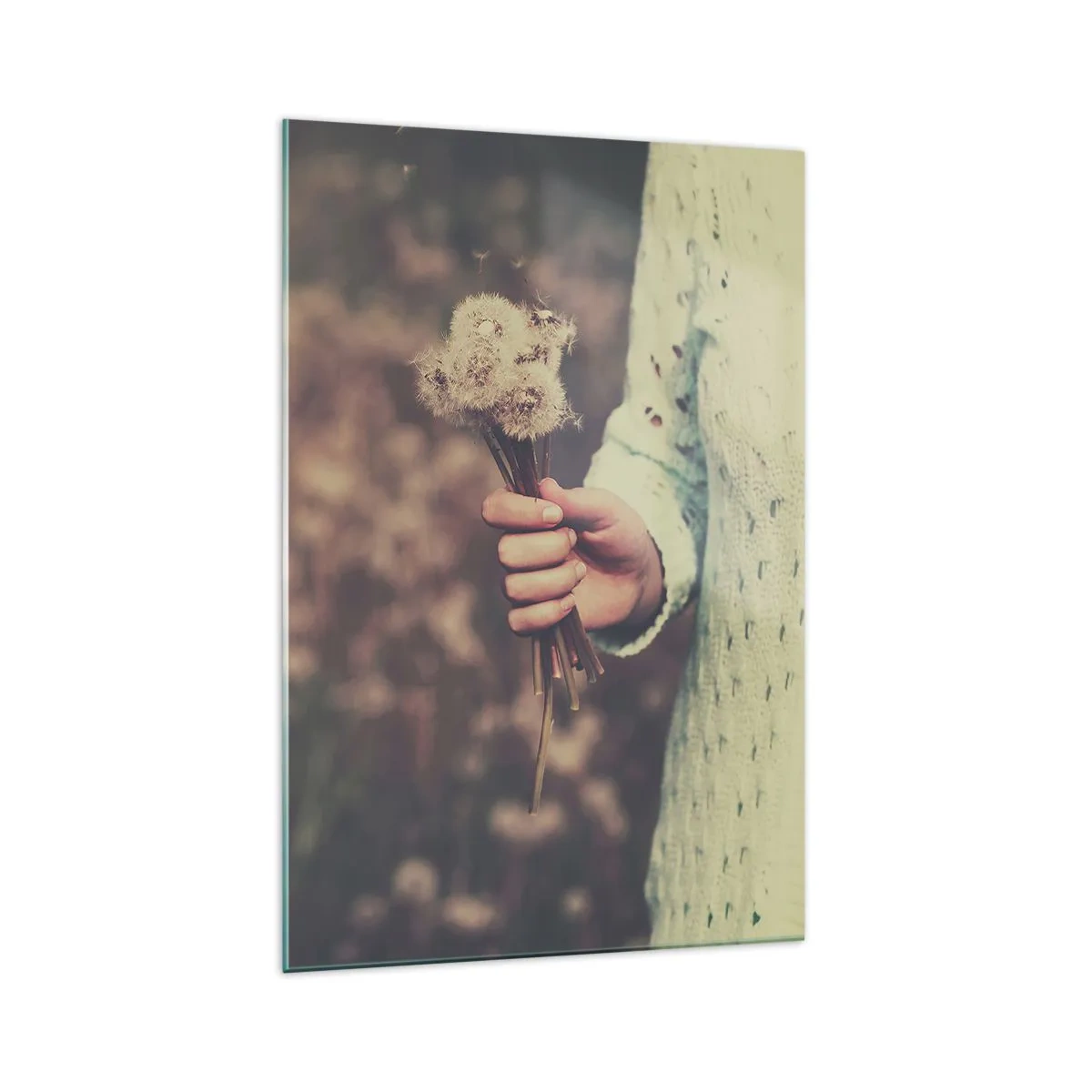 Impression sur verre - Image sur verre - Une main tenant des pissenlits sur un fond flou d'un champ plein de fleurs. - 70x100cm - Merci de les garder - Décoration murale moderne pour le salon et la chambre ARTTOR