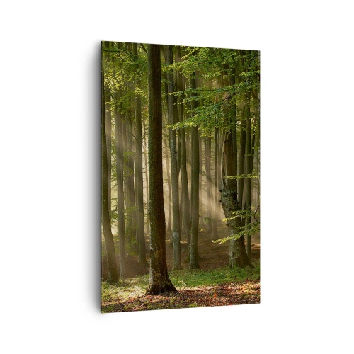 Impression sur toile - Image sur toile - Les rayons du soleil pénètrent à travers les arbres de la forêt - 80x120cm - Rayon d'un matin de printemps - Décoration murale moderne pour le salon et la chambre ARTTOR