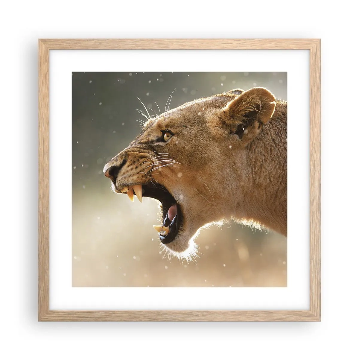 Affiche dans un chêne clair - Poster - Essayez de ne pas écouter - 40x40 cm
