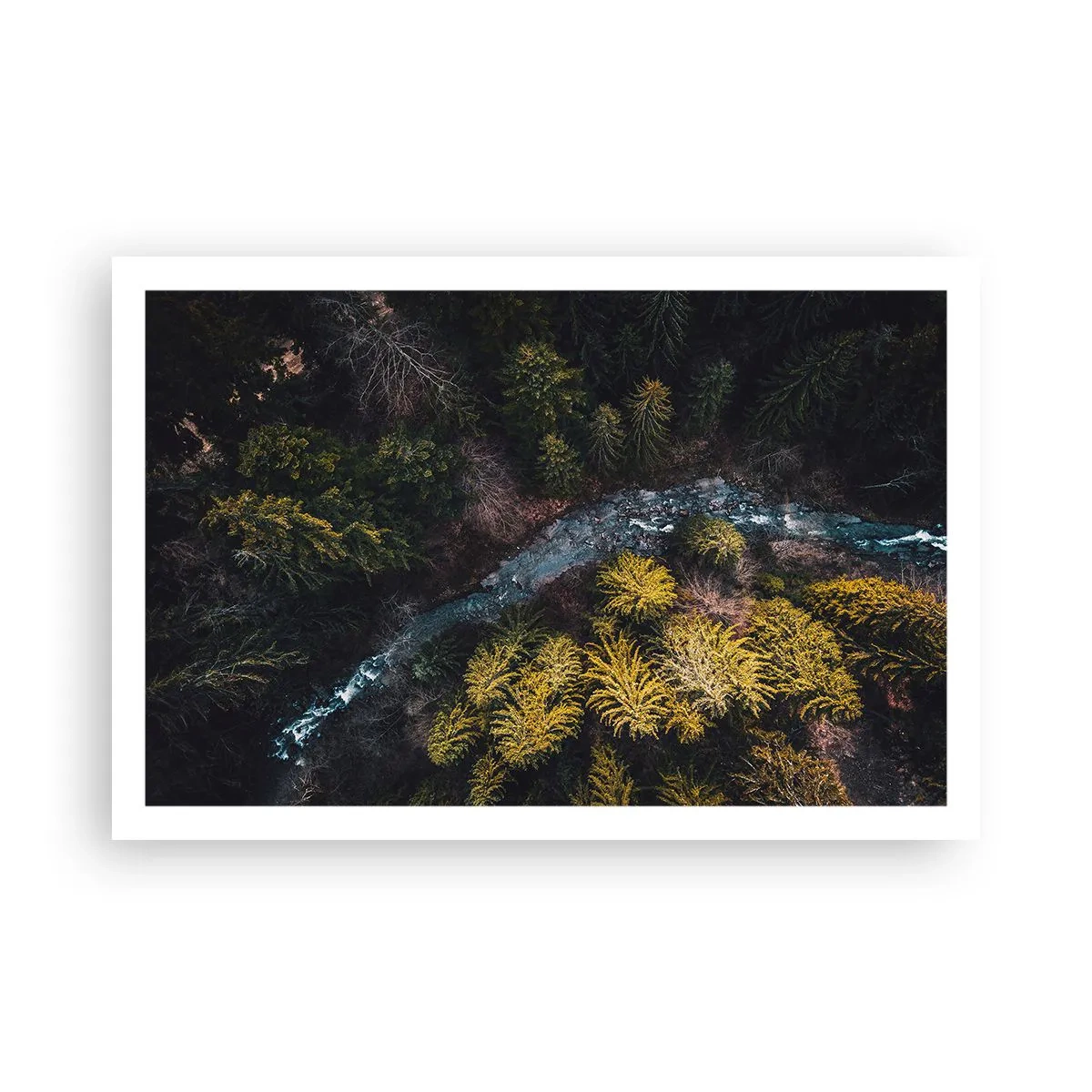 Affiche - Poster - De plus en plus vite - 91x61 cm