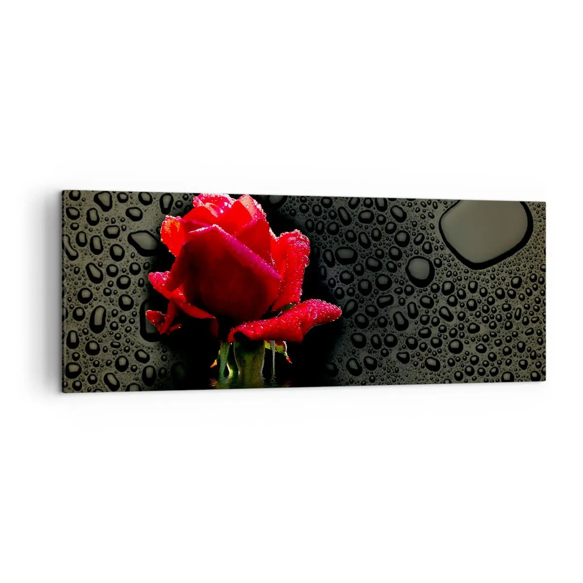 Impression sur toile - Image sur toile - Rose rouge avec des gouttes d'eau sur un fond sombre - 140x50cm - Rouge et noir - Décoration murale moderne pour le salon et la chambre ARTTOR